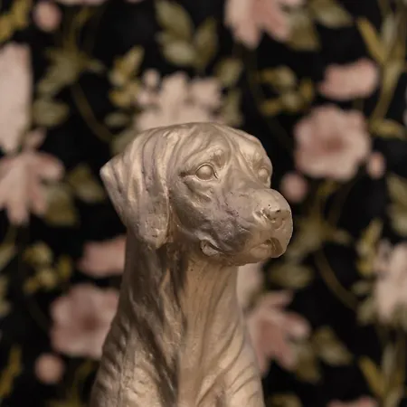 The White Knight Premium Boutique Hotel Għajnsielem