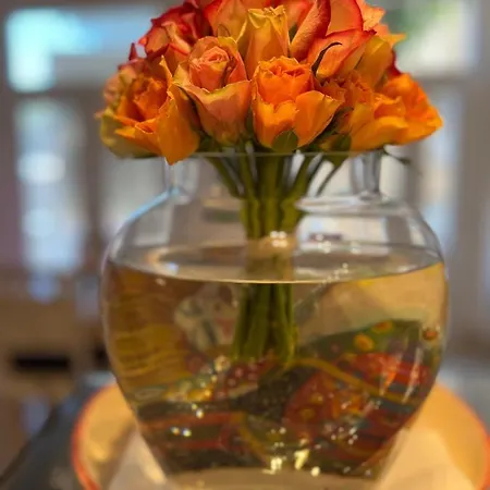 The White Knight Premium Boutique 호텔 *