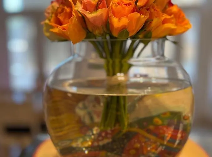 The White Knight Premium Boutique 호텔 *